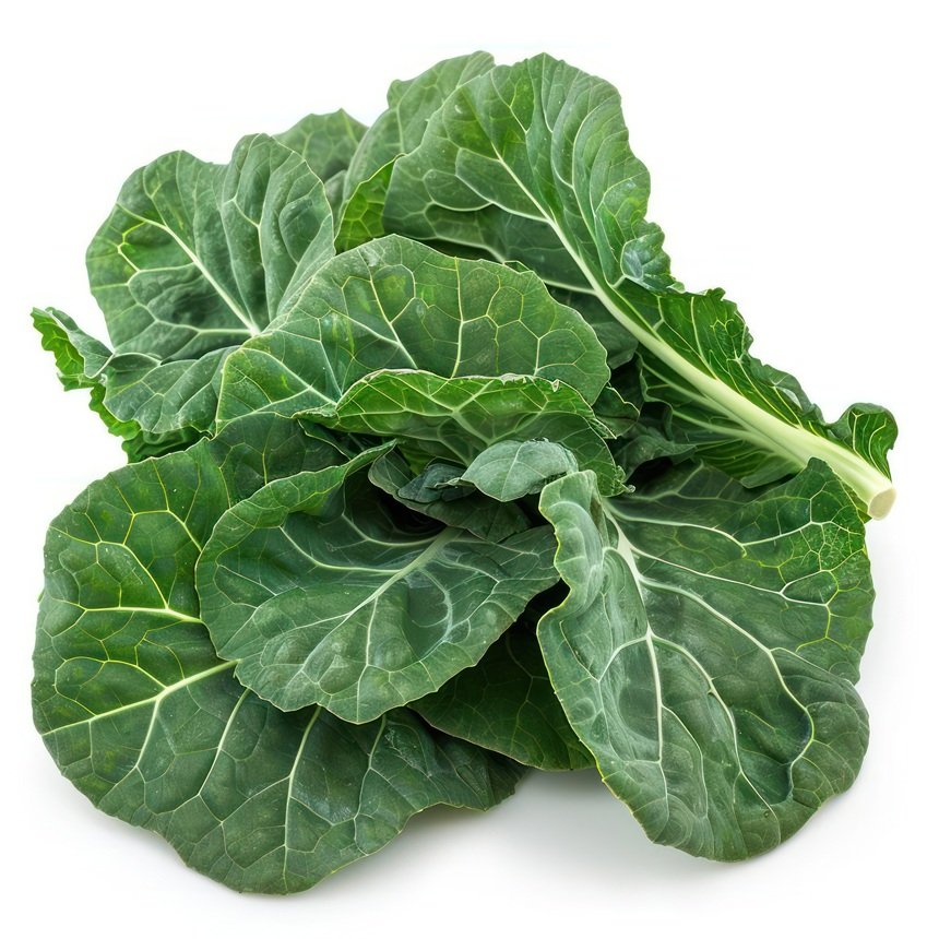 Whole food nutrition guide illustration